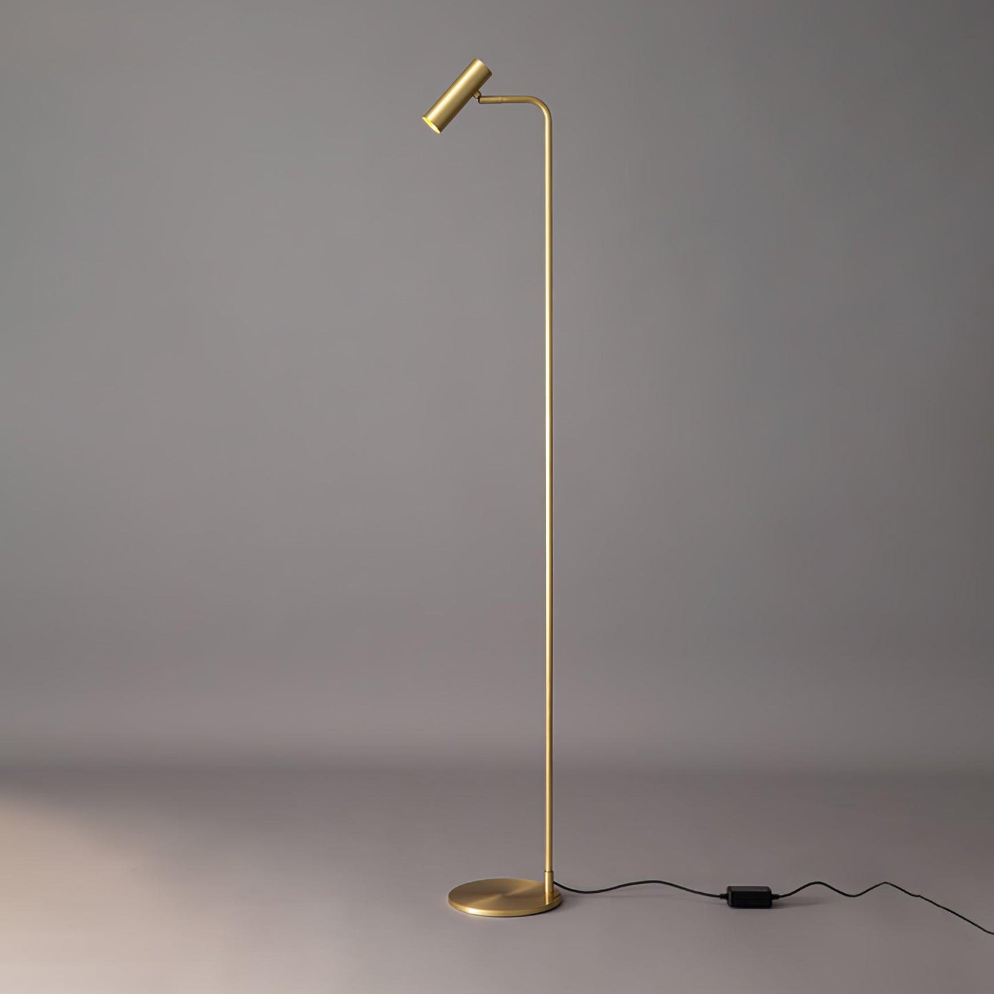Minimal Torris Floor Lamp With Adjustable LED