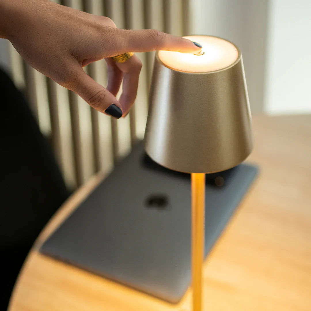 Elegant Lampshade Light