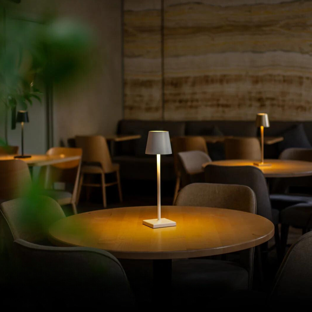 Elegant Lampshade Light