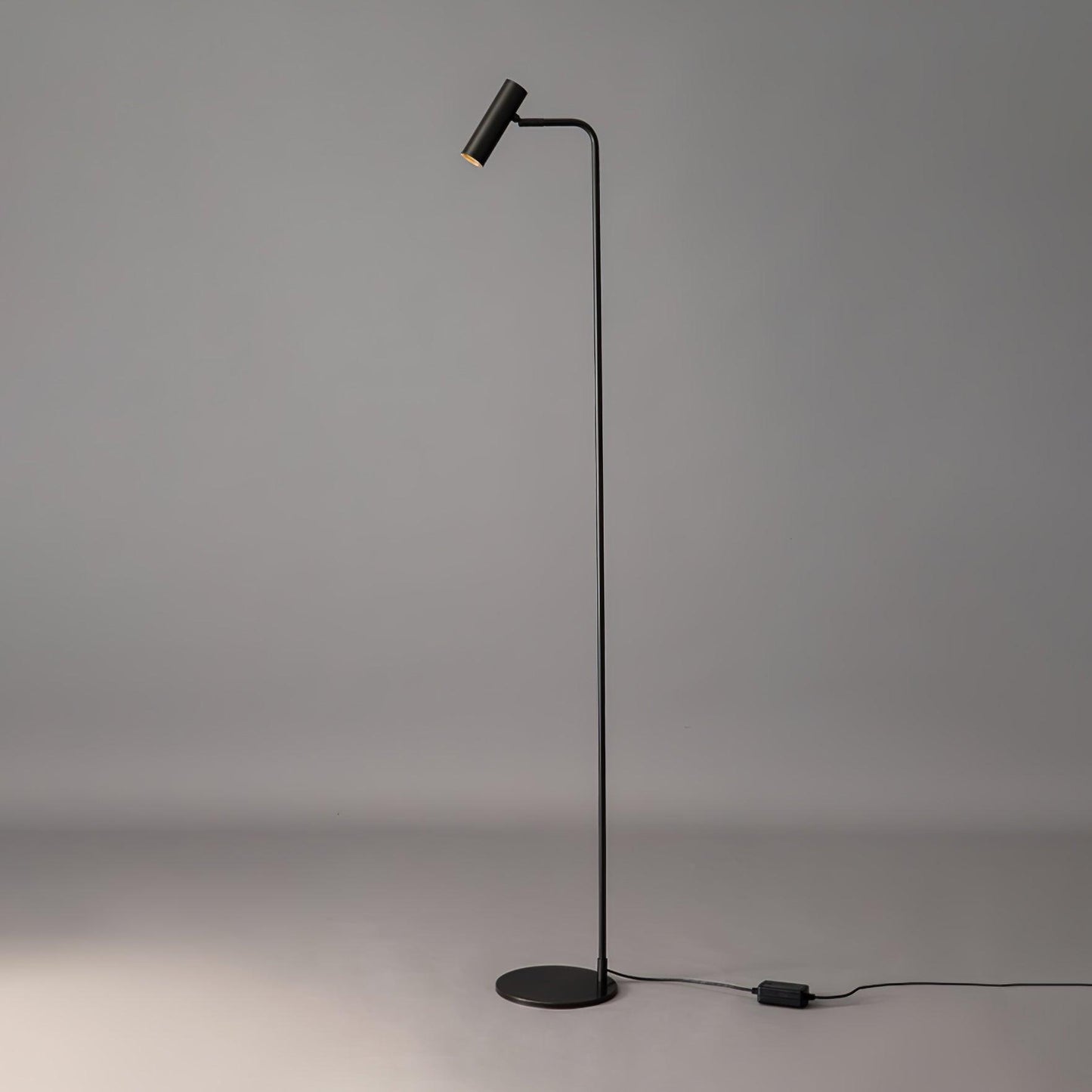 Minimal Torris Floor Lamp With Adjustable LED