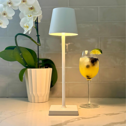 Elegant Lampshade Light