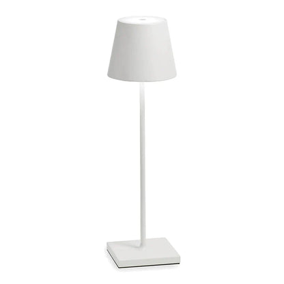 Elegant Lampshade Light